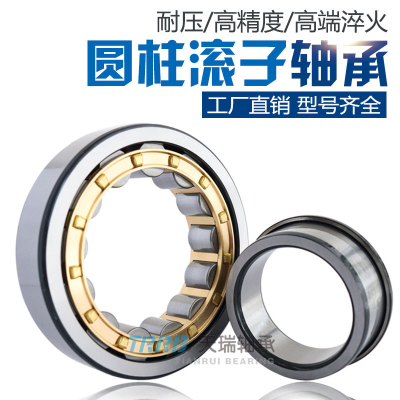 TRRB天瑞 N1005 N1006 N1007 N1008 N1009 N1010EM 圆柱滚子轴承