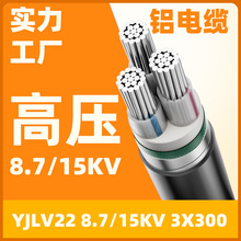 �߉� YJLV22 8.7/15kV 3x300 3о�Xо䓎��z�b�����|������ȼ