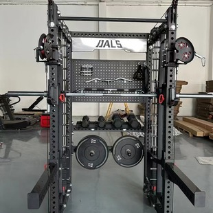 Rep Smith Flying Bird Multifunctional All-In-One Squat Rack Gantry Bench Press Rack Fixed Pulley Flying Bird Fitness Equipment