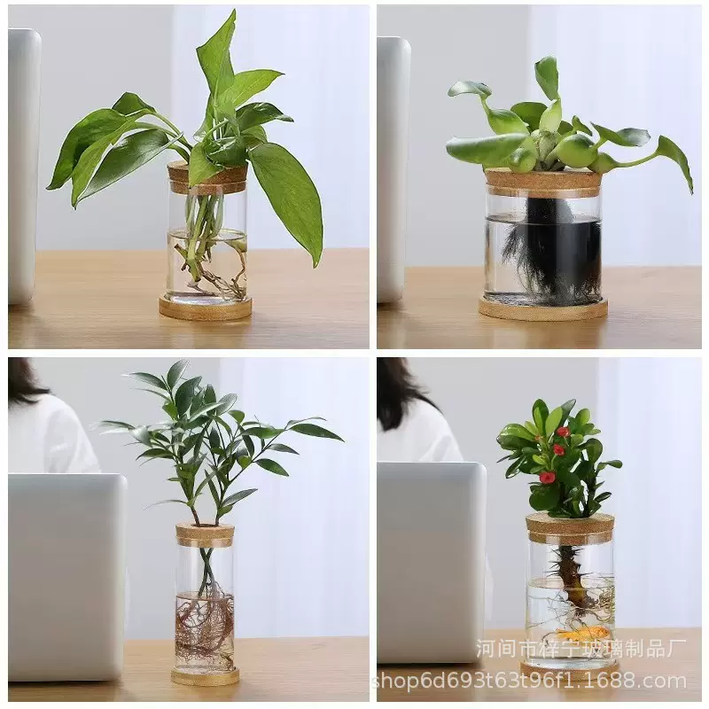 跨境高硼硅玻璃花瓶透明花瓶水培植物景观瓶家用桌面装饰插花容器