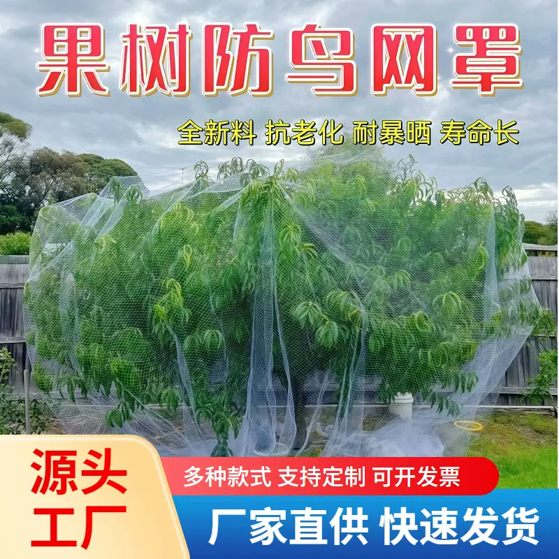 果树防鸟网嘉宝树防鸟罩葡萄枇杷樱桃阳台菜园防鸟神器尼龙防护网