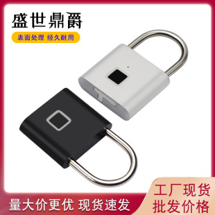 Intelligent Fingerprint Padlock Outdoor Waterproof Anti-rust Padlock Intelligent Electronic Padlock Head Door Anti-theft Code Lock Cabinet