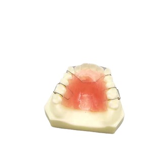 Dental Maxillary Half Mouth Retainer Demonstration Model White Tooth Model Doctor-Patient Communication Model Free Shipping
