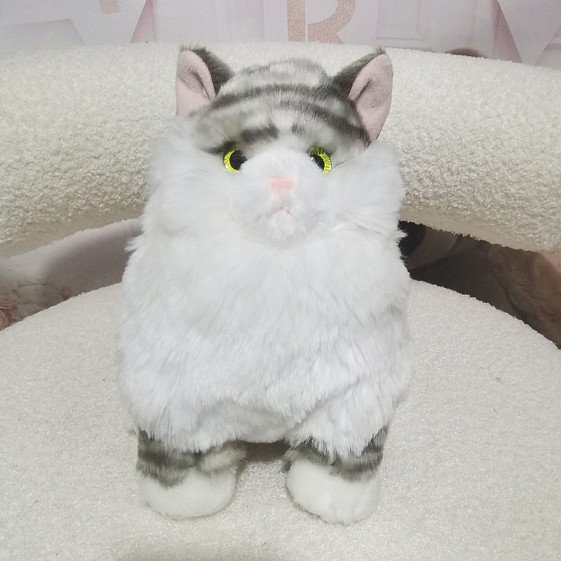 IMG_20220314_001941_副本