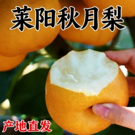 非处方滋补膏;果蔬汁;硬糖