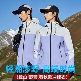 男Polo衫;冲锋衣、裤;广告衫polo