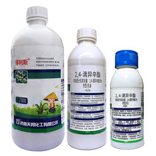 ���24�γ��݄�������С�����ײ�ƺ���݄���~ɯ��24�ή�����