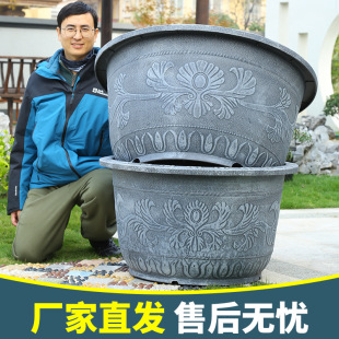 ����@��ˮ�����ϻ����̨ͥԺ�N�����B�ɻ�˯ɏ��͸�����ÚWʽ