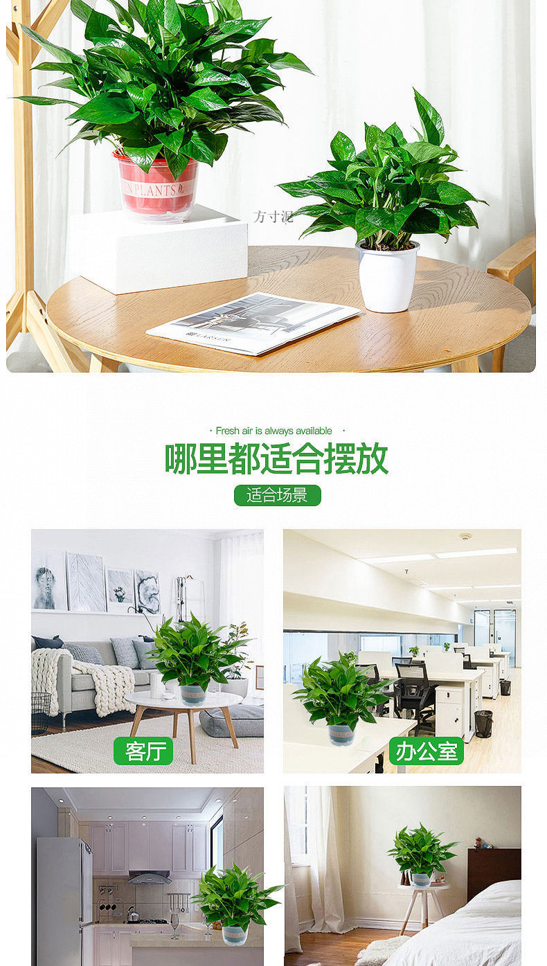 14971a64-6e05-44aa-bbe9-136c871fda4c.jpe