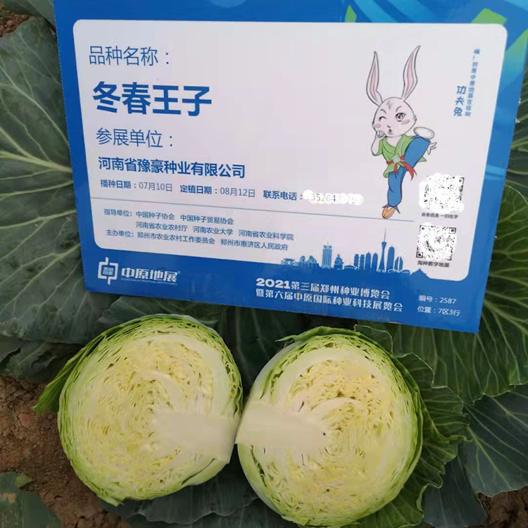 249392d572a6bf4ef7c395be1ff779