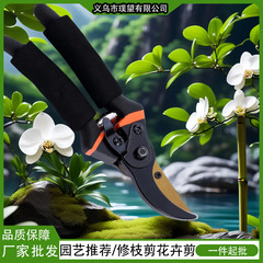 国境を越えた剪定はさみ、庭の花の剪定はさみ、果樹はさみ、太い花はさみ、園芸はさみツール