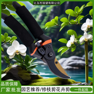 Cross-Border Pruning Scissors, Garden Flower Pruning Branch Scissors, Fruit Tree Scissors, Thick Flower Scissors, Gardening Scissors Tools