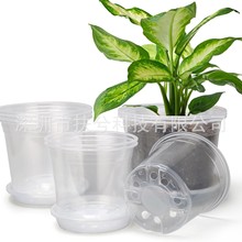 带排水孔的透明育苗盆塑料透明培育盆带托盘和不带托盘跨境专供