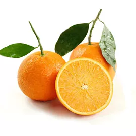 块茎类;苹果;其他水果