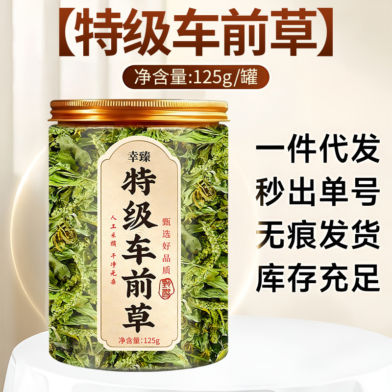 Premium Whole Plantain Herb Dried Wild Natural Sun Dried 500g quality and texture