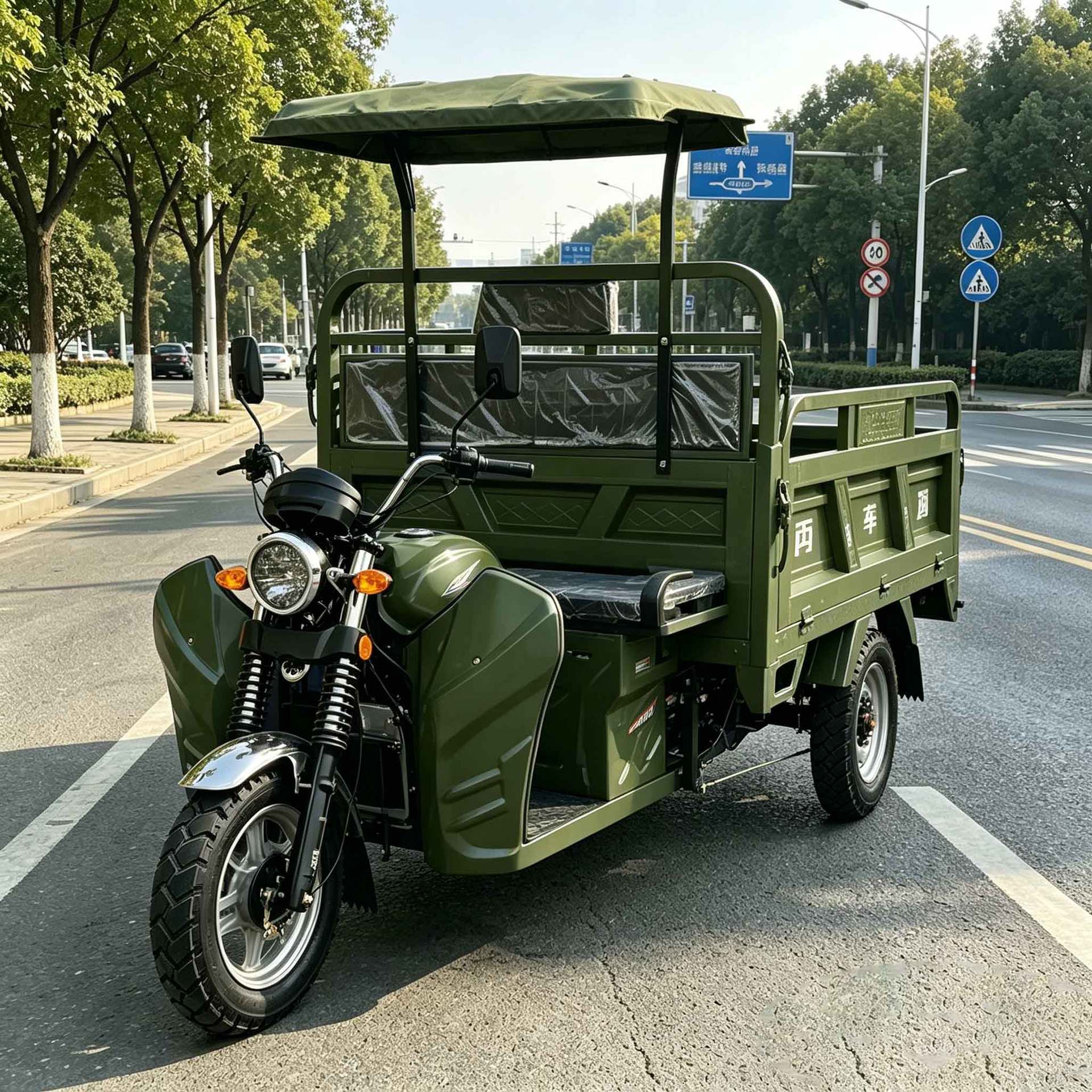 Cross-Border Export of Green Fuel-Powered Three-Wheeled Vehicles for Southeast Asia, Passenger-Carrying Vehicles with Canopy, Three-Wheeled Motorcycles