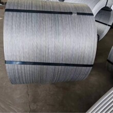 3003  ���I�X��  �������P  Ҏ���Rȫ