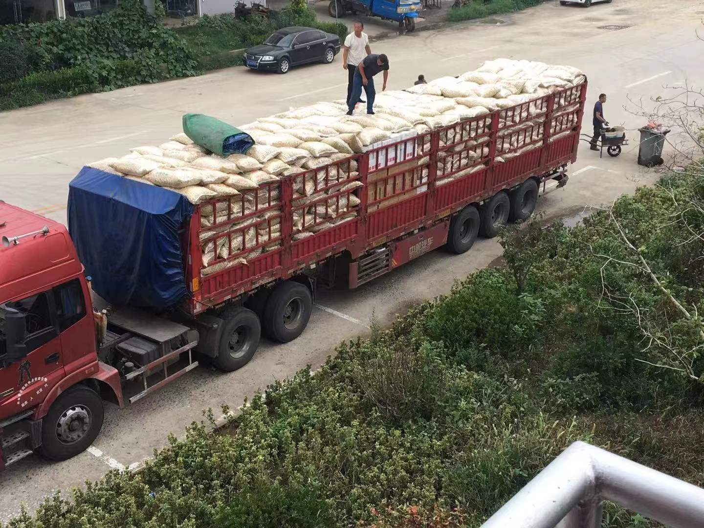 03ffbf53b0cbf720576741263c834e