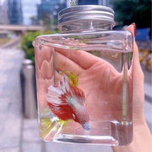 塑料方形斗鱼鱼缸摆摊网红罐罐鱼公园夜市广场透明迷你微景观鱼缸