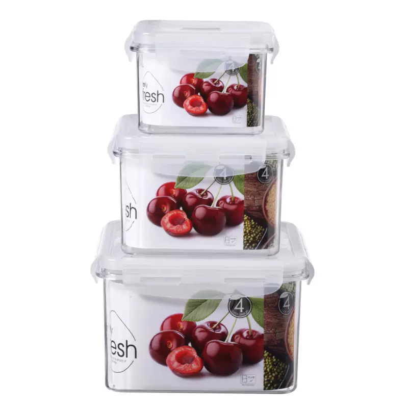 挺力厨房冰箱正方形保鲜盒微波耐热塑料饭盒食品水果收纳密封包装