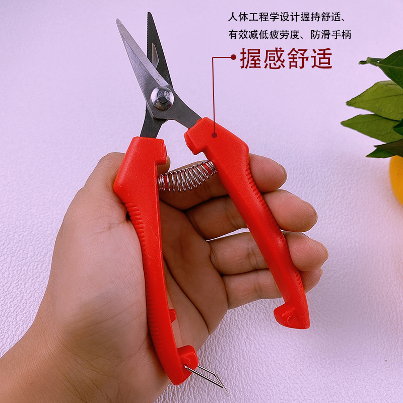 Yangjiang árboles frutales tijeras de corte de ramas de acero inoxidable tijeras de jardinería casera cortar ramas de árboles cortar naranja extraña naranja especial