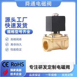 厂家2WS2-15进水AC220V膜片式常压4分6分一寸水处理电磁阀