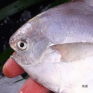 �������ؖ|���ش��y�K�~���r�K�~����~ƽ�~�K�c�~���K�~һ�����l