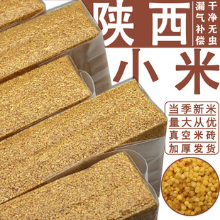Графит Разное зерно shaanxi mi -fat масла Xiaomi сезон Новый рис настоящий вакуумный пакет Xiaomi Оптовое рисовое масло Толстую Xiaomi