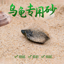 孵化乌龟草龟天然底砂产蛋鱼缸装饰造景砂子冬眠下蛋养殖沙河沙