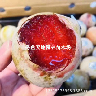 ��Ʒ�N�޽ӿ��������Ә����ش�����t��t���������Ϸ������Nֲ��