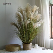 �JȔ�ɻ��L����Ȼ�JȔ����ٻ��Gֲ�٘�[�O�쾰�[����̫��