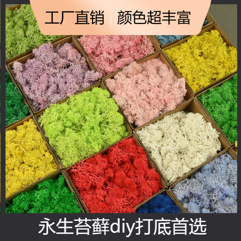Fleur magique fleur éternelle Mousse en boîte 100 g/boîte matériel de fleur paquet bricolage fleur séchée vraie fleur plante mur plante verte duveteux