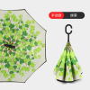 Transport with umbrella for car for double, umbrella, Birthday gift