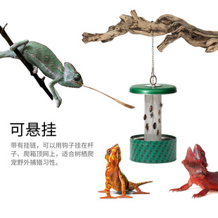 giangarden��������ιʳ���������،m�űȁ���������x����ιʳ��