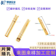定制五金车削件铜针接线端子PIN针 导电医疗插针片簧插针插孔镀金