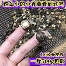 ���鹽С�㹽��؛���X�����_С���㹽����С�������Ϯa500g���]