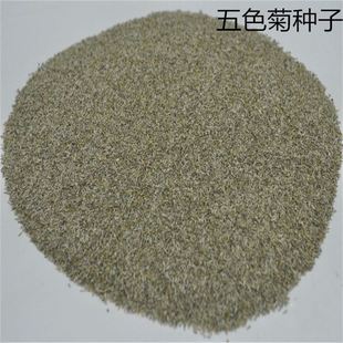 ���羳��؛��ɢ�b��ɫ�շN�� ���òݻ��N���|���ļ����N�׻� ���