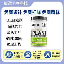 植物蛋白素食粉Vegetable protein powderr 跨境供应厂家批发O EM