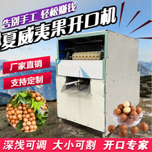 夏威夷果开口机坚果锯口小型全自动澳洲环形切口控制开缝切割