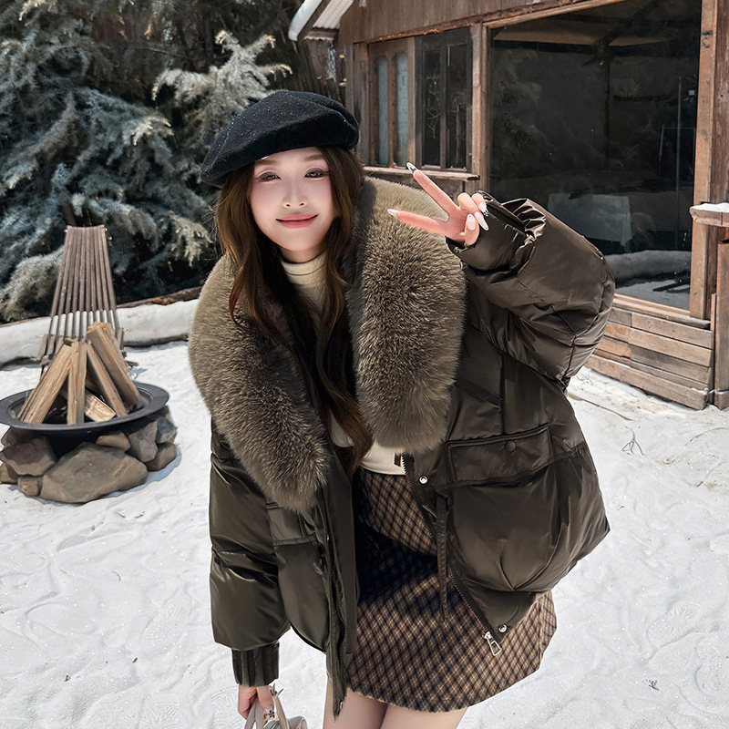 ヨーロッパとアメリカの綿服 2025 冬の女性のダウン綿ジャケットトレンディなスタイルのパーソナライズされたストリート大きな毛皮の襟ショートフード付き綿ジャケット|undefined