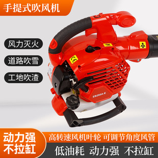 Portable Hair Dryer in Stock Wholesale Industrial Dust Removal Storm High Power Blower Snow Removal Machine Electric High Wind