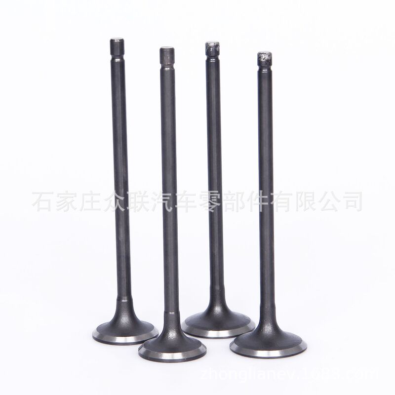 641049 97131961 64136097131962Frontera 3.2 V6 24V valve 641049 97131961 64136097131962Frontera 3.2 V6 24V valve