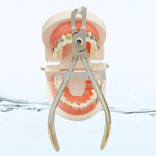 ��ǻ���hȥ���Q���������Q���h�Q������е����������