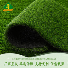 休闲仿真草坪屋顶遮阳隔音庭院阳台装饰绿化幼儿园学校人造草坪