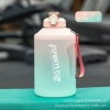 Gradient powder 2.3L
