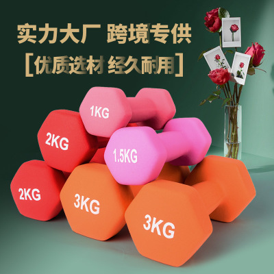 六角浸塑哑铃 环保家用 健身运动器材 女士 亚玲 跨境批发代发