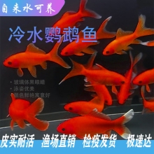 ��ˮ�W�^�~Ѫ�W�^�t���~�\����ˮ�^�p�~���w�~���B�ͻ�lؔ�~