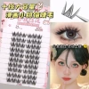 Ten rows of sweet cats (folding box)