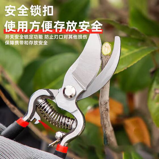 Cross-border wholesale fruit tree pruning shears fruit branch shears gardening shears pruning shears v8 fruit tree branch shears small scissors SK5