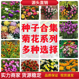 �f�۾ջ��N�Ӹ�ɣ���N�ѻ�ɫ�ļ����N�_���׳ɻ��ͥԺ��ͥ�@ˇ